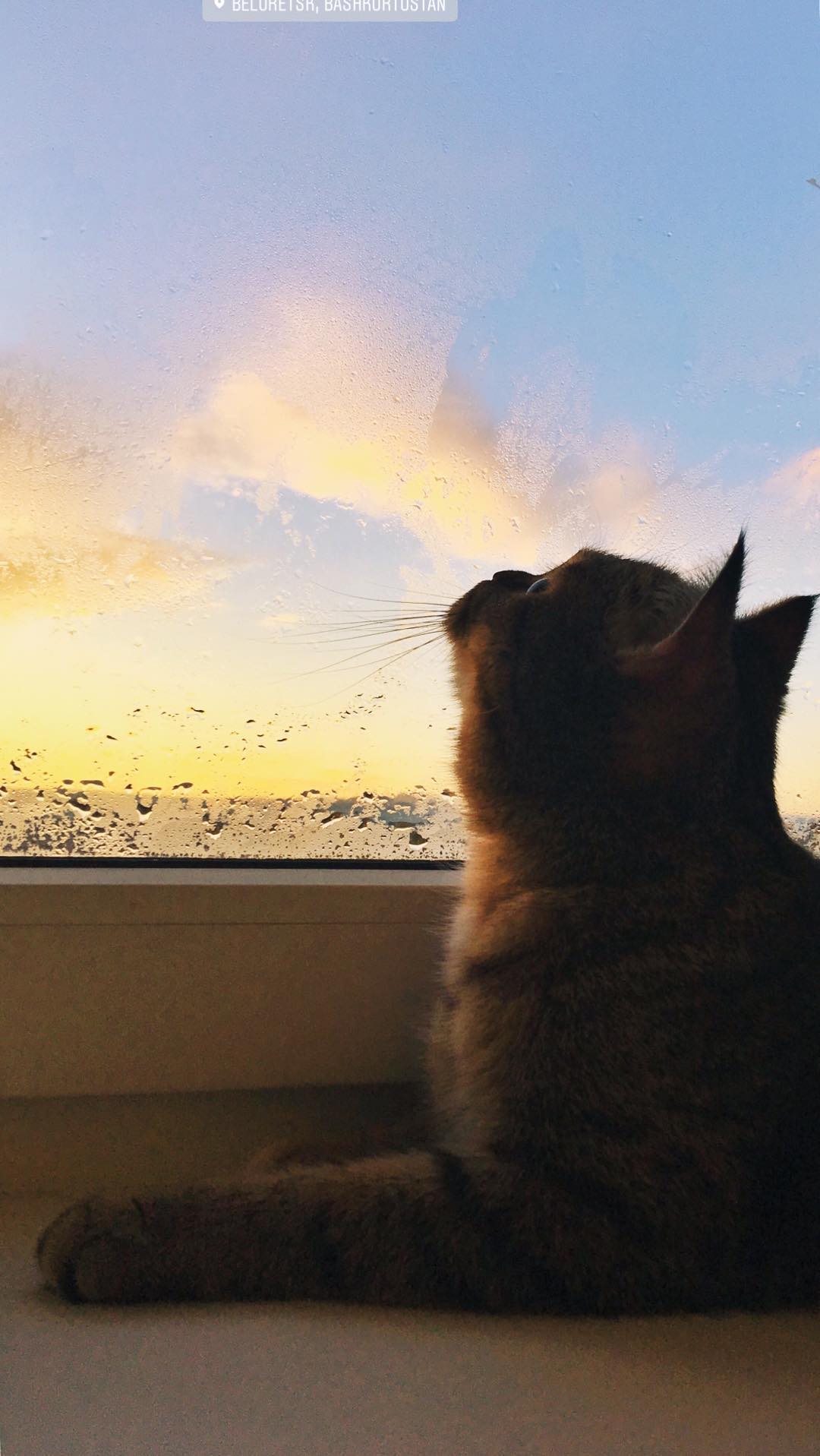 Beitragsbild