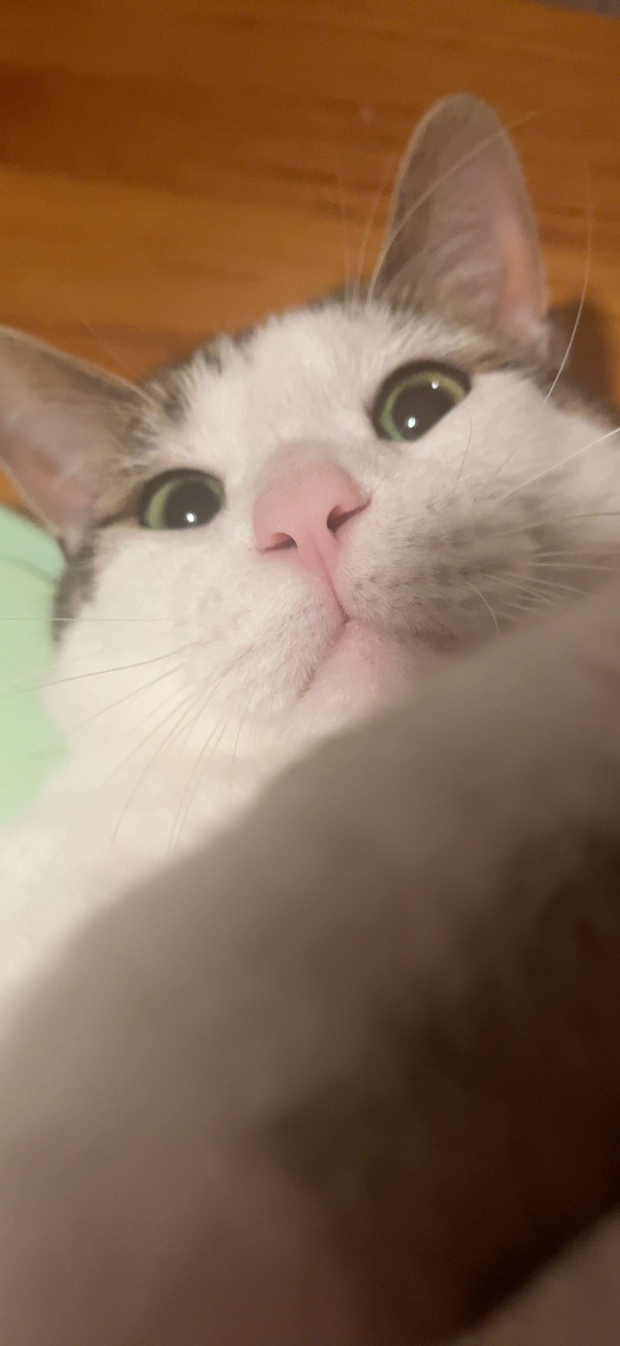 Beitragsbild
