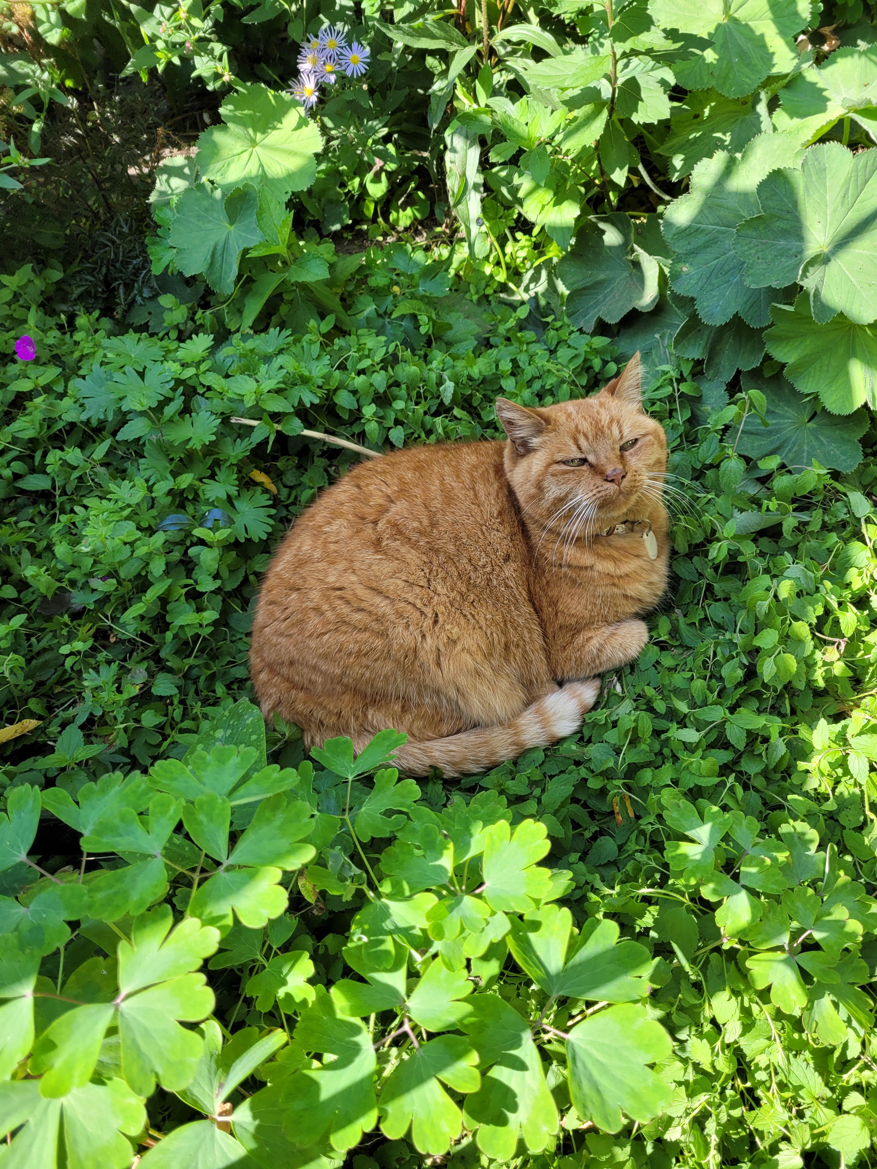 Beitragsbild