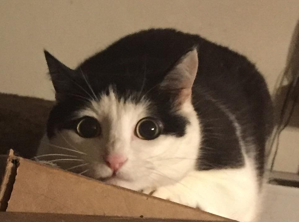 Beitragsbild