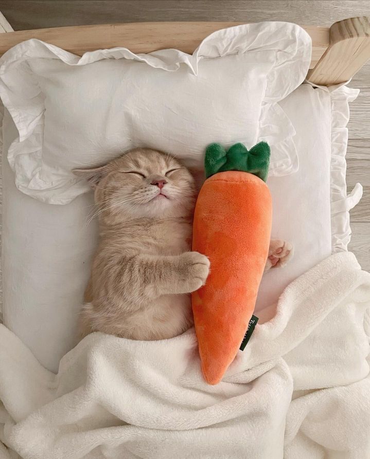 Beitragsbild