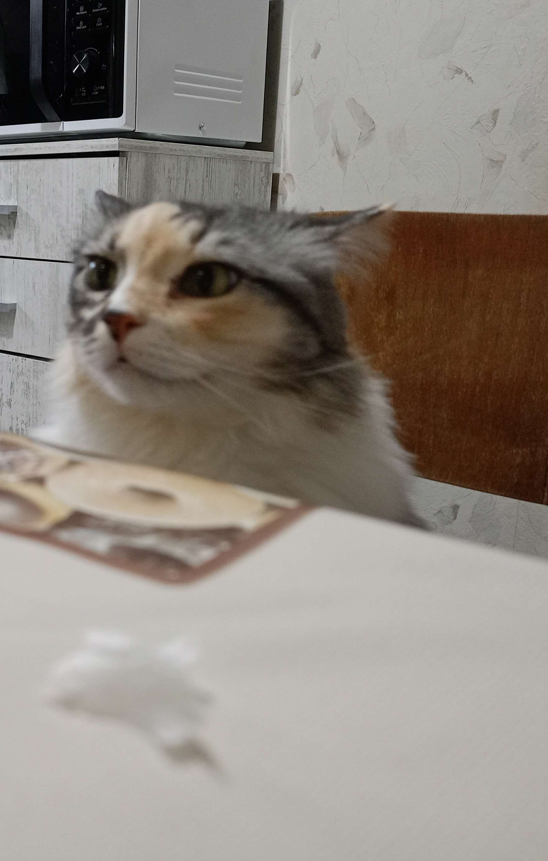 Beitragsbild